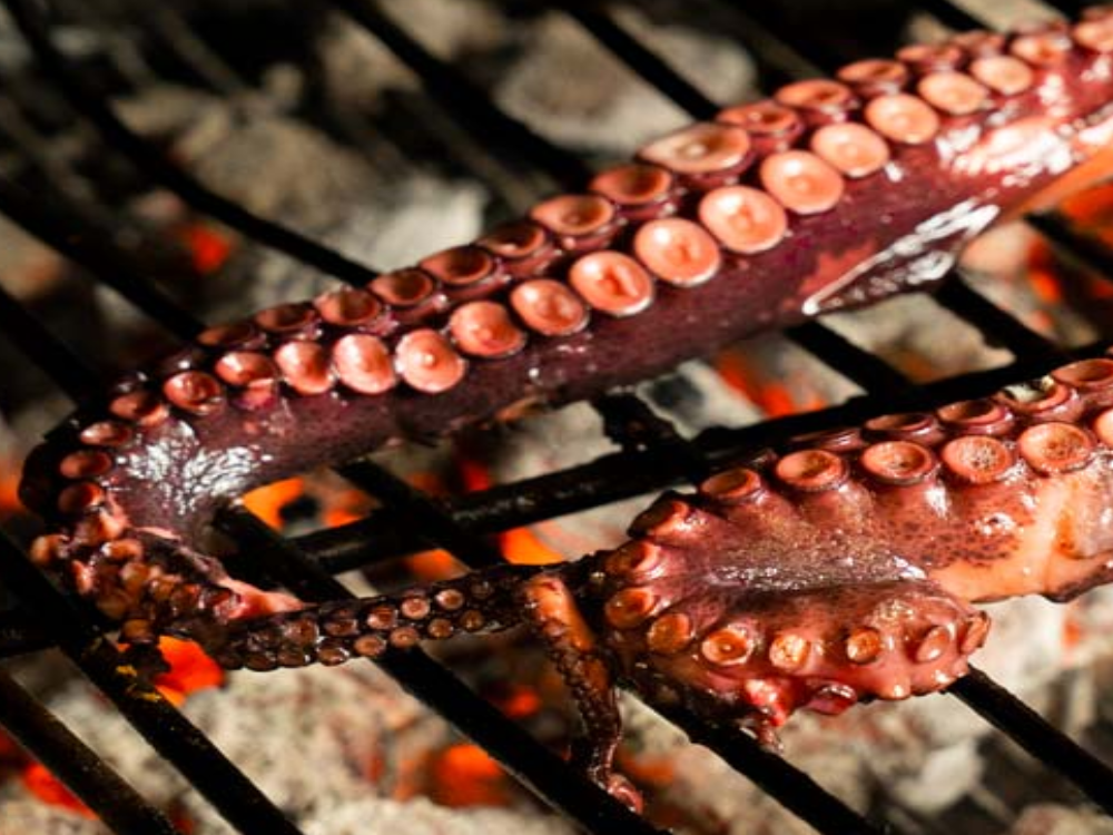 Pulpo