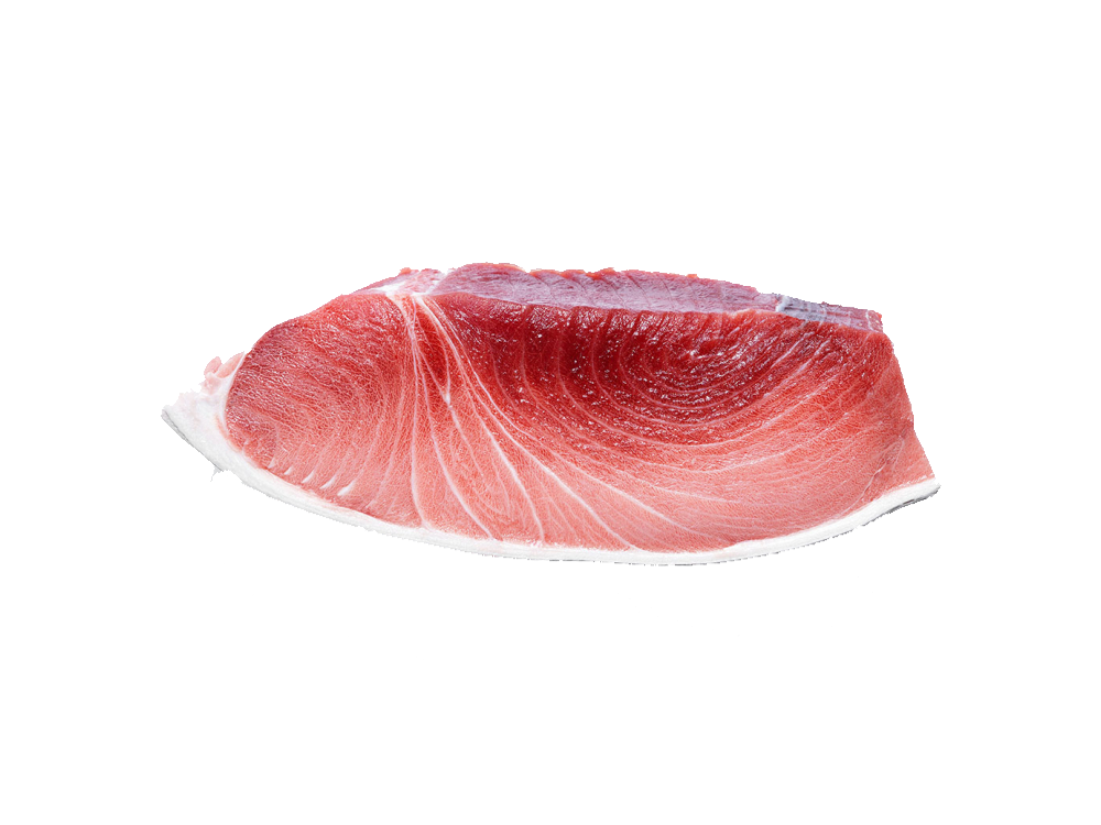 Tarantelo de Atún Rojo Salvaje de Almadraba