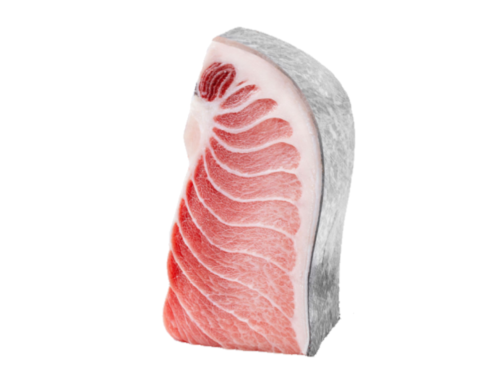 Ventresca de Atún Rojo Salvaje de Almadraba